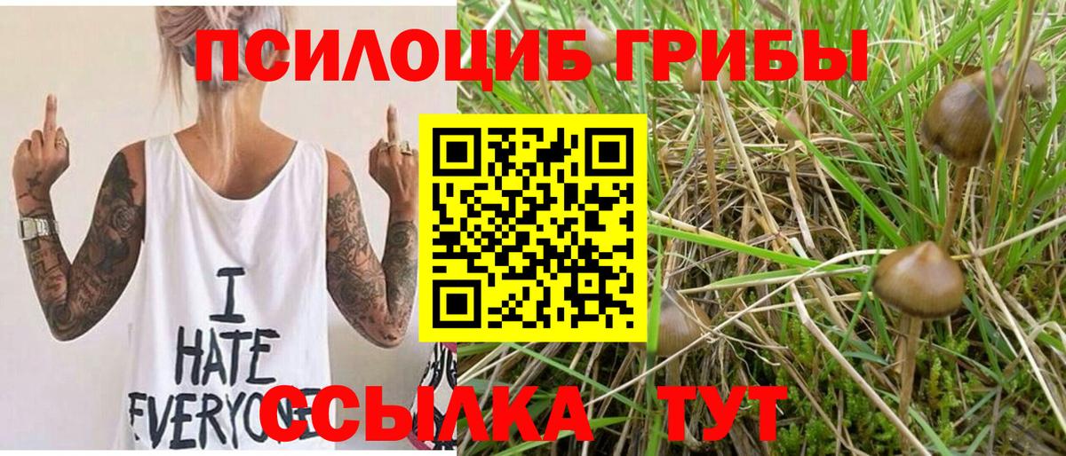 Галлюциногенные грибы мицелий  Галлюциногенные грибы мицелий  Волгоград 