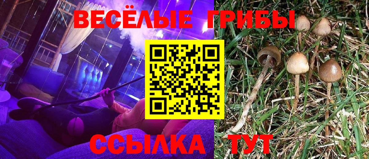 Галлюциногенные грибы Magic Shrooms  Вход с VPN  Волгоград 