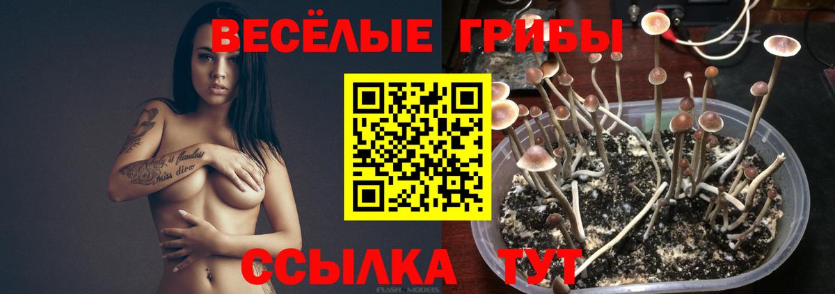 Галлюциногенные грибы мицелий Волгоград